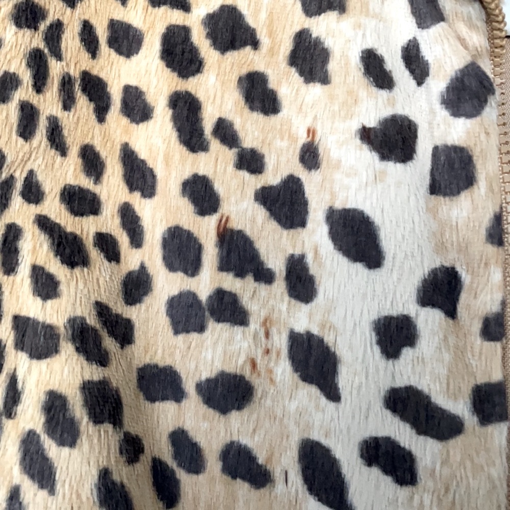 Leopard Print Jacket M 🦁🐯 - Picture 4 of 5